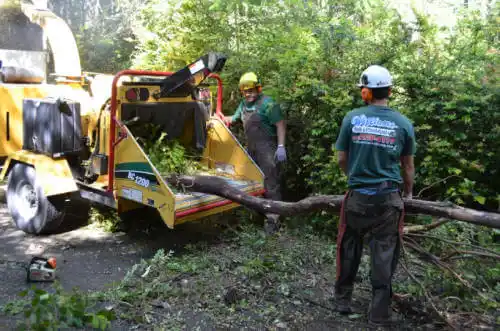 tree services Dyersville